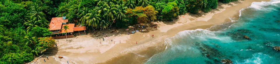 วิวชายฝั่งทะเลเขตร้อนที่มองเห็นจากด้านบน พร้อมด้วยหาดทรายและต้นปาล์มที่เขียวชอุ่ม